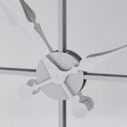 Celina Mirrored Wall Clock