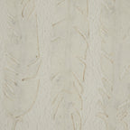 Alta White Feathers Art Mounted In Beaded Frame