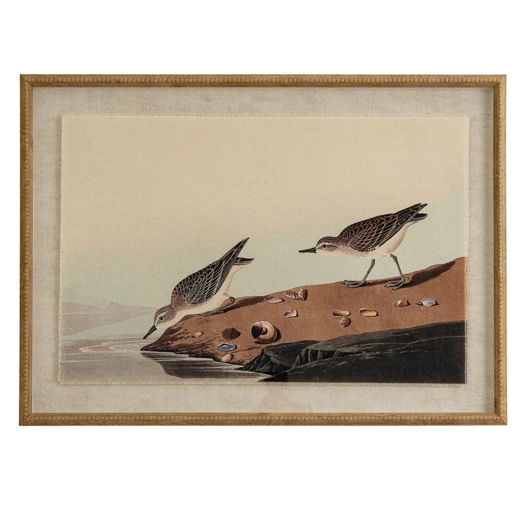 Flora & Fauna Collection Stints On Linen In Beaded Frame