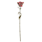 Pink Dianthus Spray