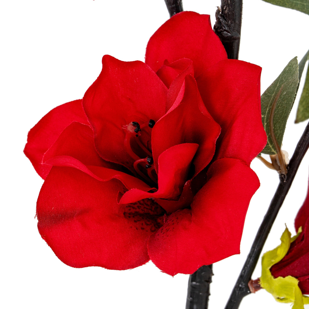 Crimson Bloom Large Spray