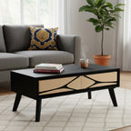 Boho 2 Drawer Coffee Table