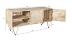 Light Gold Plasma Media Unit 