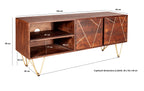 Dark Gold Plasma Media Unit 