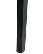 Set of 2 Dining Chairs ISLE Wood Black/ Beige