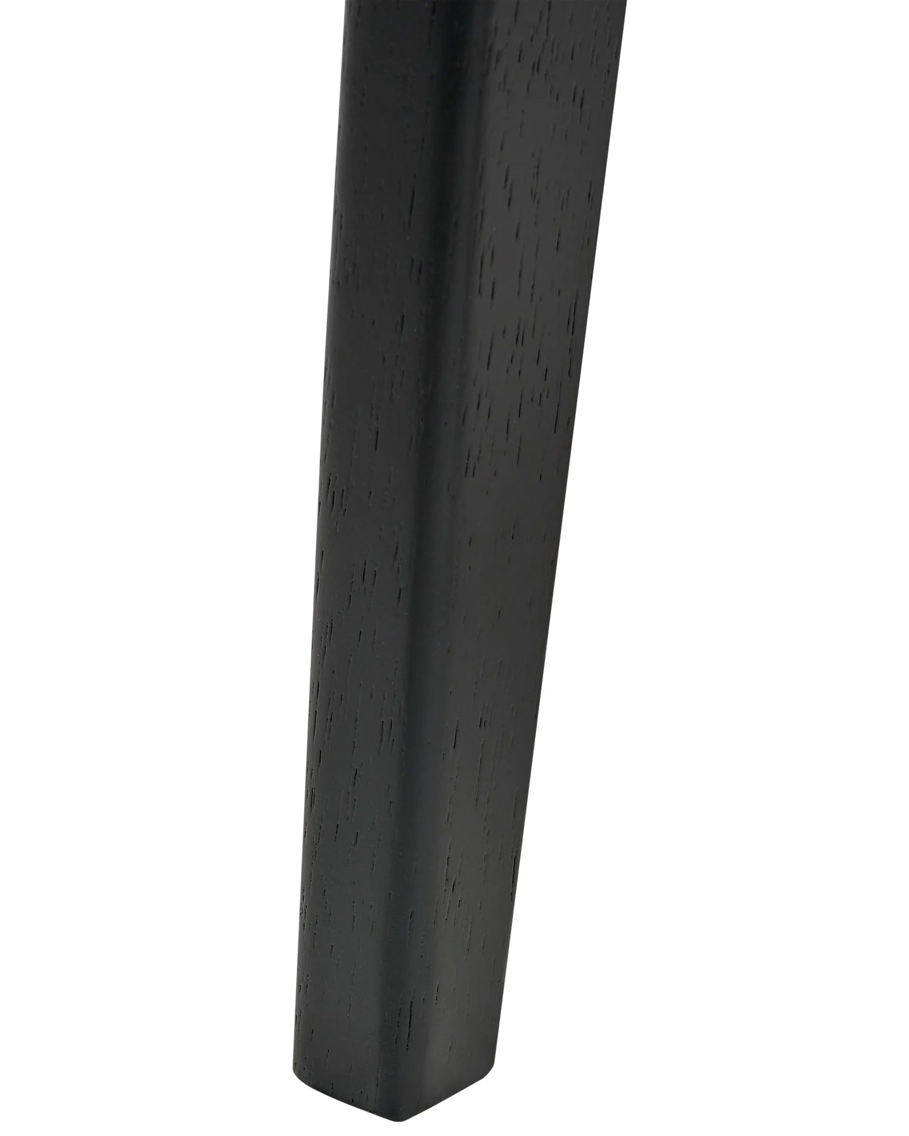 Set of 2 Dining Chairs RUBONIA Wood Black
