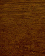 Set of 2 Dining Chairs MINIER Wood Green/ Dark Brown