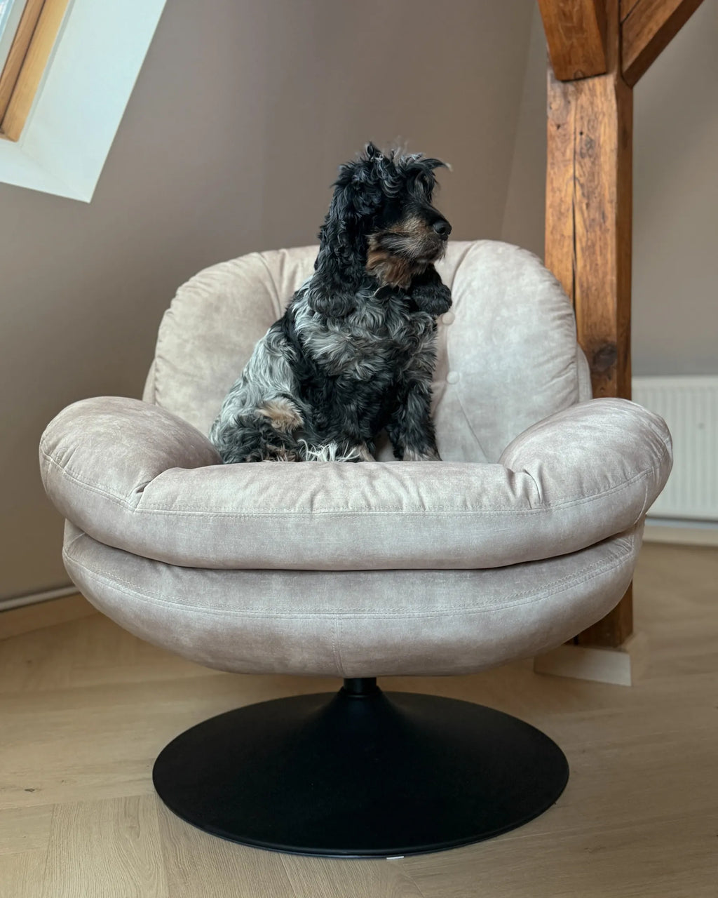 Swivel Armchair NOLVIK Velvet Light Beige
