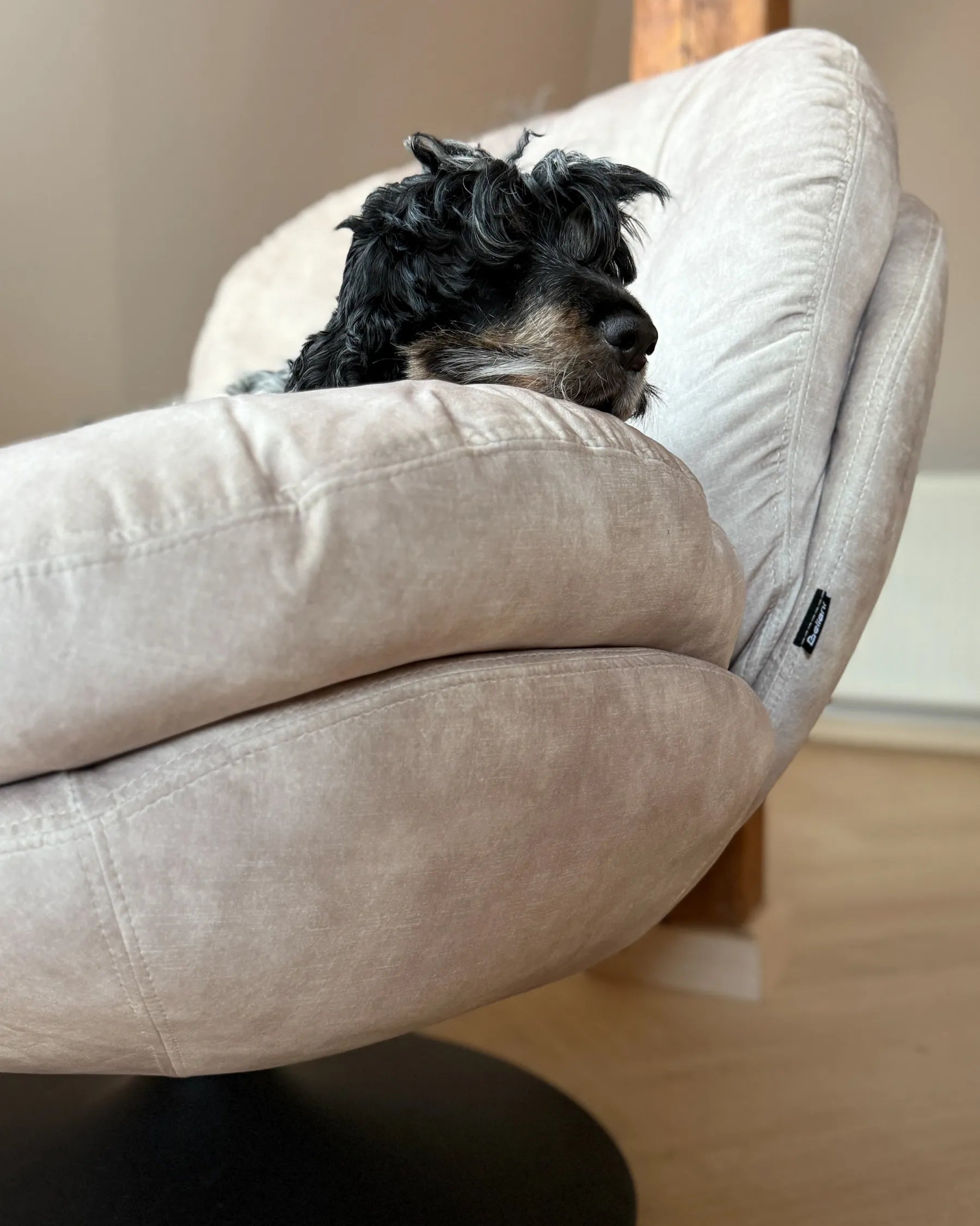 Swivel Armchair NOLVIK Velvet Light Beige