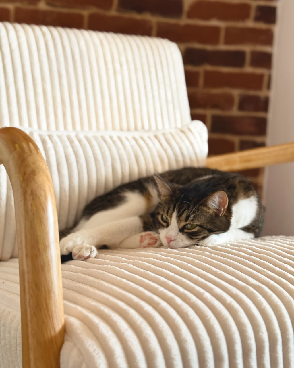 Rocking Chair SORSELE Corduroy White