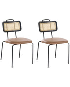 Set of 2 Dining Chairs ADELANTO Metal Brown