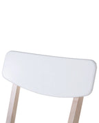 Set of 2 Dining Chairs SANTOS White