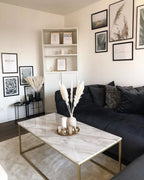 Coffee Table DELANO Marble/ Gold
