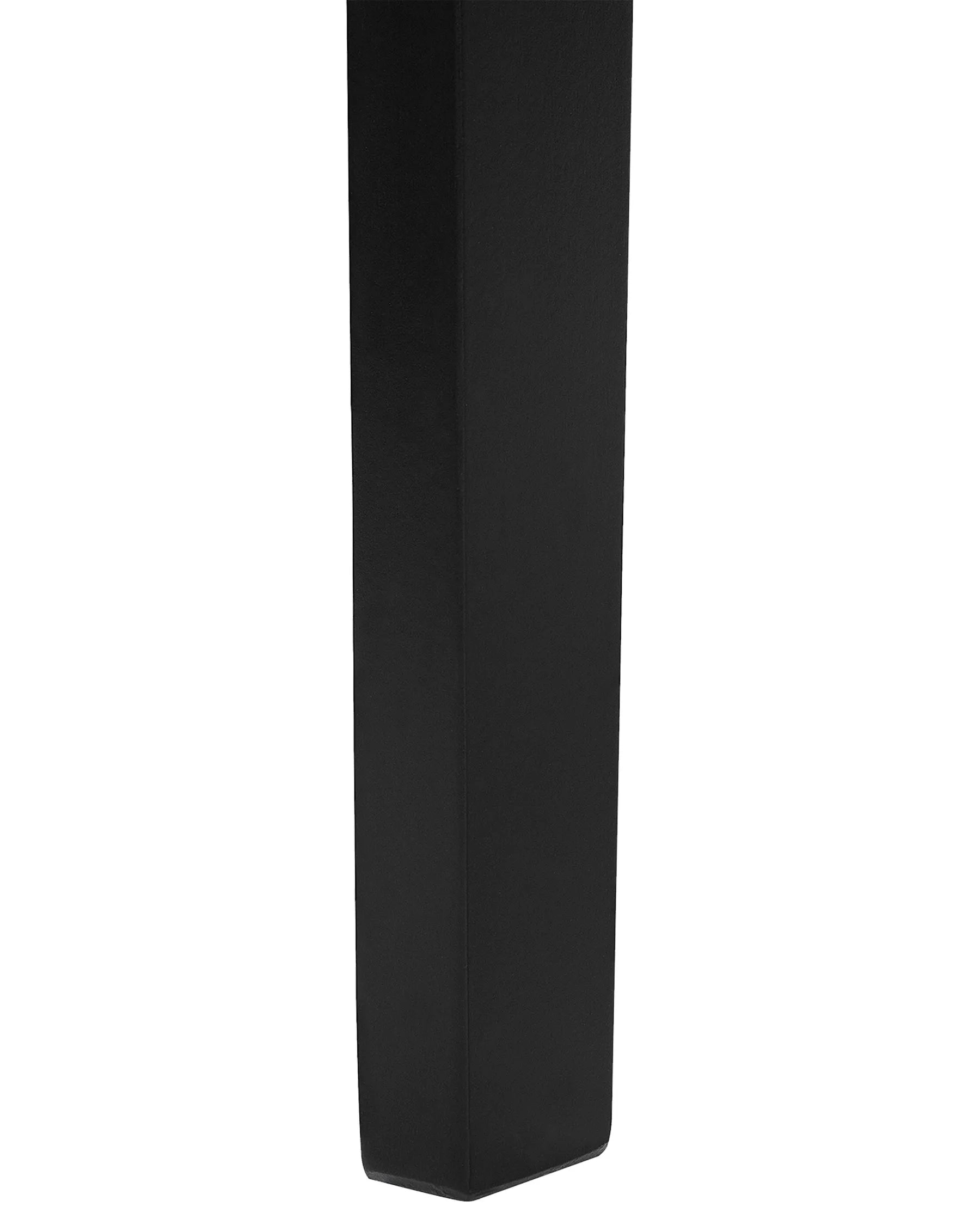 Set of 2 Dining Chairs HOUSTON Wood Black