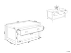 Coffee Table CLIO Light Grey with Storage