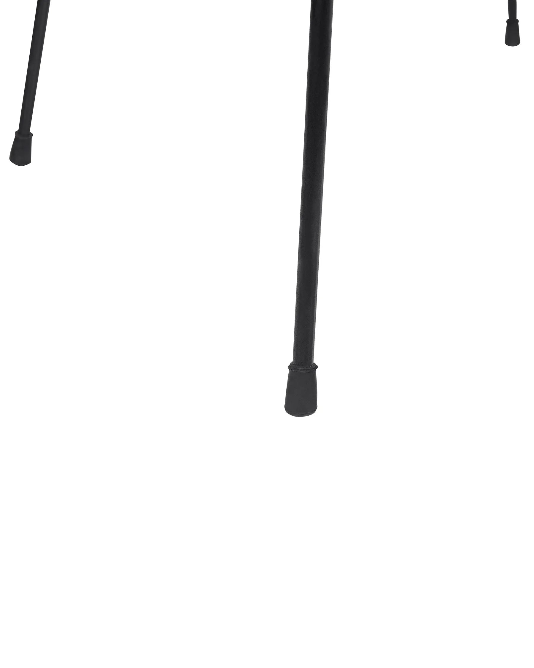 Set of 2 Dining Chairs ELFROS Rattan Natural