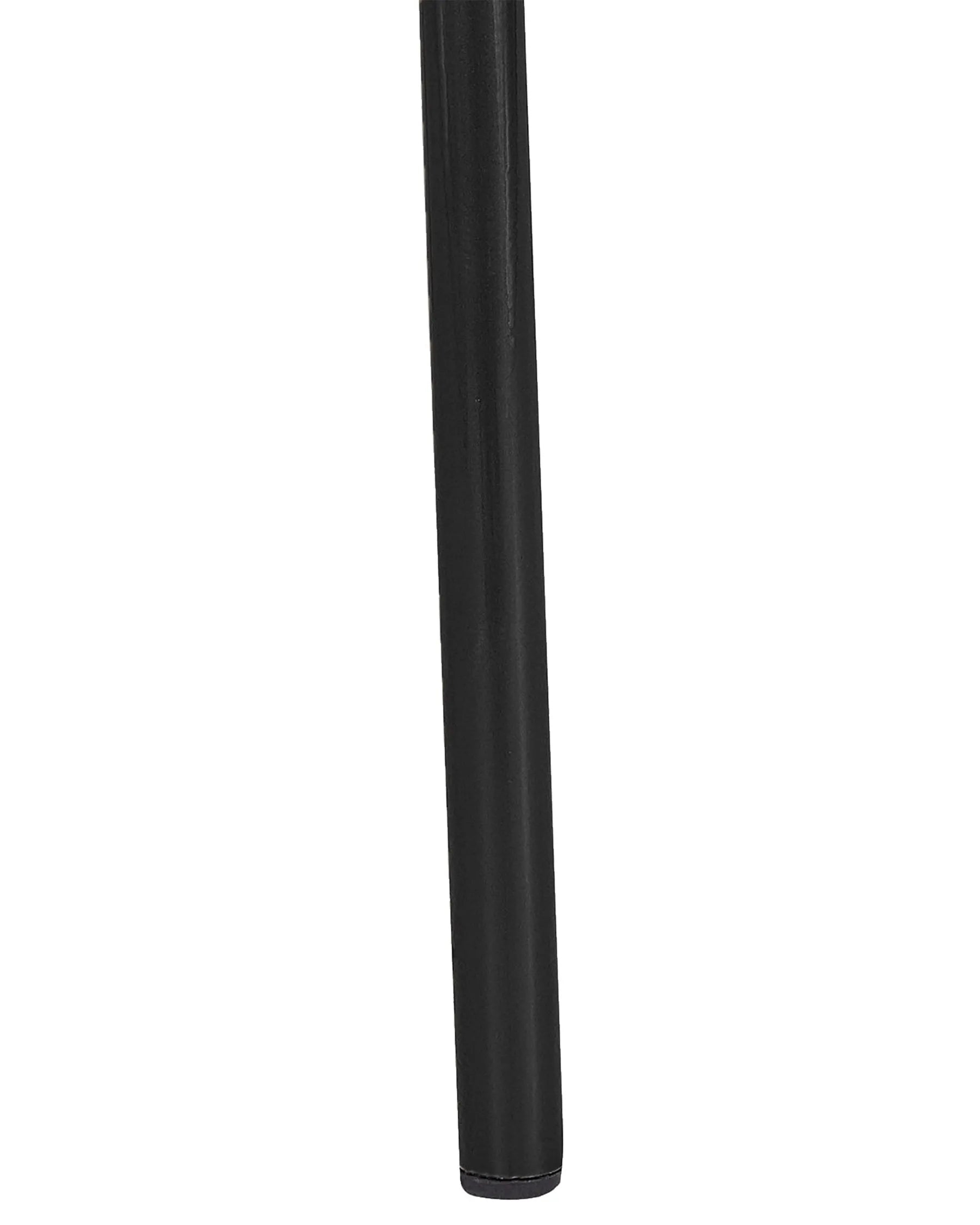 Set of 2 Dining Chairs RIGBY Metal Black