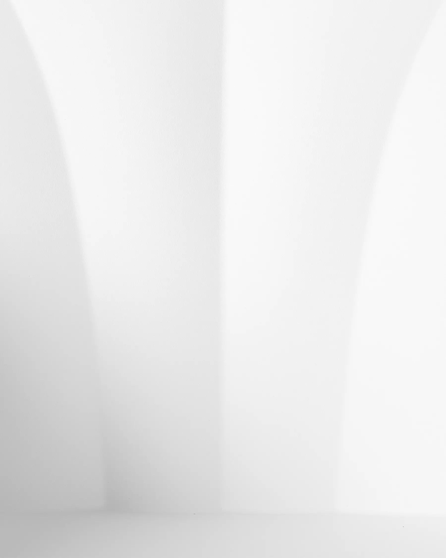 Set of 2 Dining Chairs SYLVA White