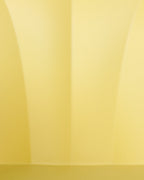 Set of 2 Dining Chairs SYLVA Yellow