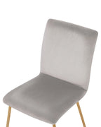 Set of 2 Dining Chairs RUBIO Velvet Grey