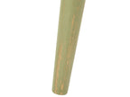 Set of 2 Side Tables MAHARO Mango Wood Light Green