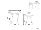 Set of 2 Side Tables MAHARO Mango Wood Light Green