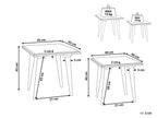 Set of 2 Side Tables BELIDHA Mango Wood Light Green