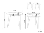 Set of 2 Side Tables KHETUA Mango Wood Brown