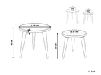 Set of 2 Side Tables RANJA Mango Wood Brown