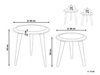 Set of 2 Side Tables TURUA Mango Wood Brown