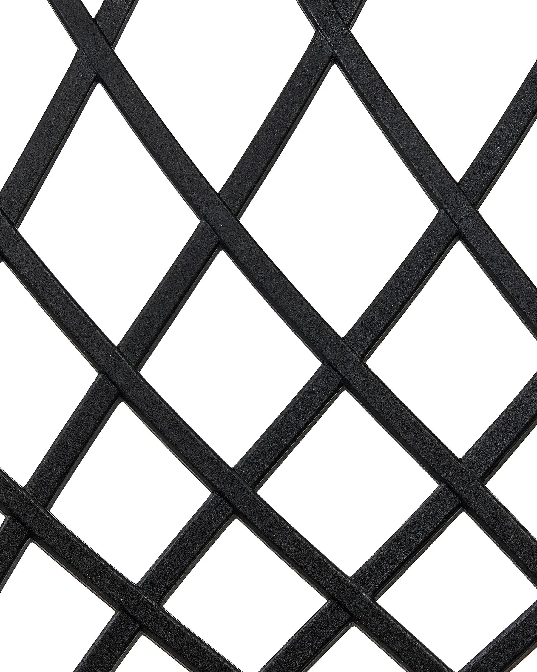 Set of 2 Dining Chairs NASHUA II Black