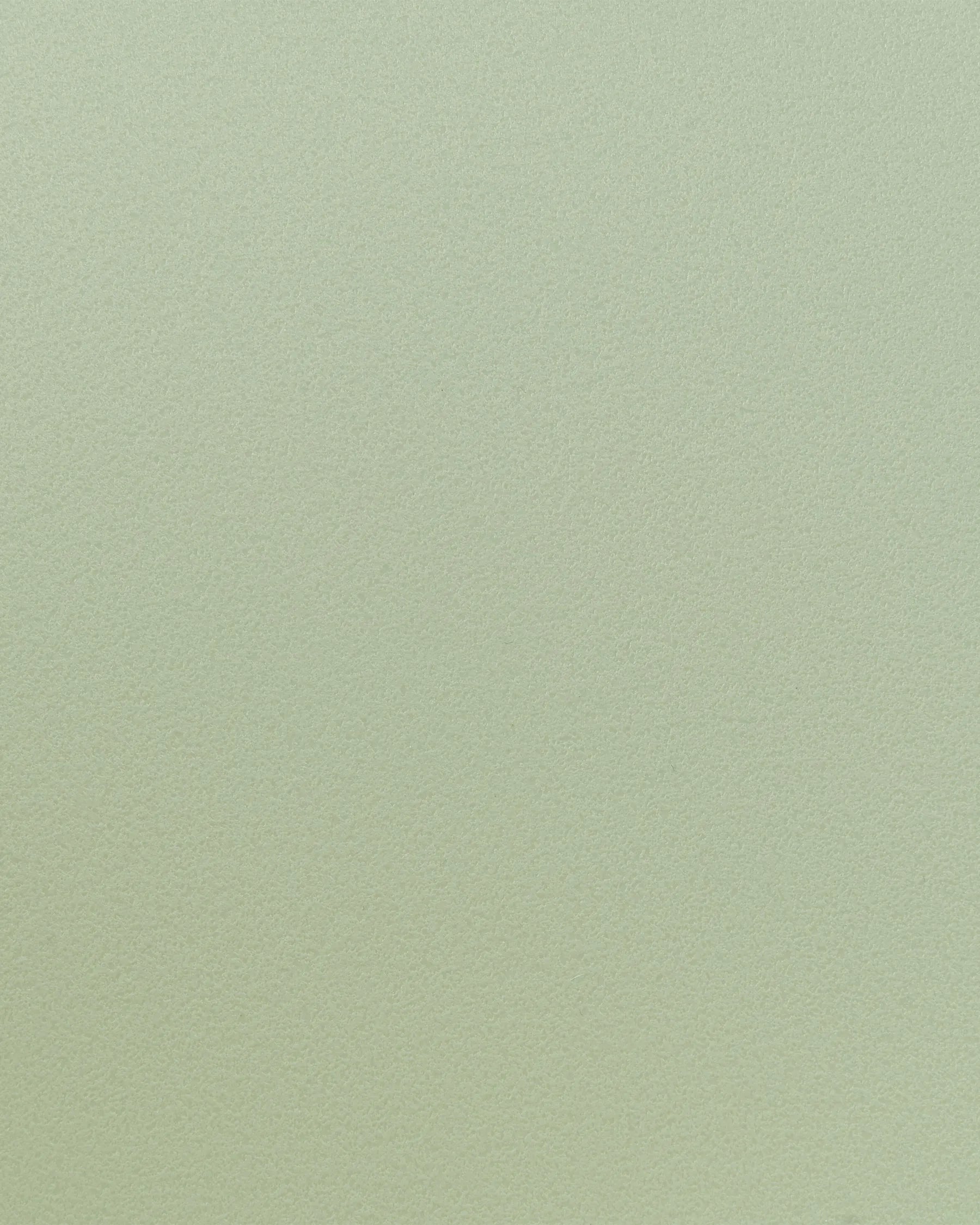 Set of 2 Dining Chairs FONDA II Light Green