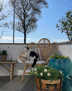 Peacock Chair FLORENTINE II Rattan Natural