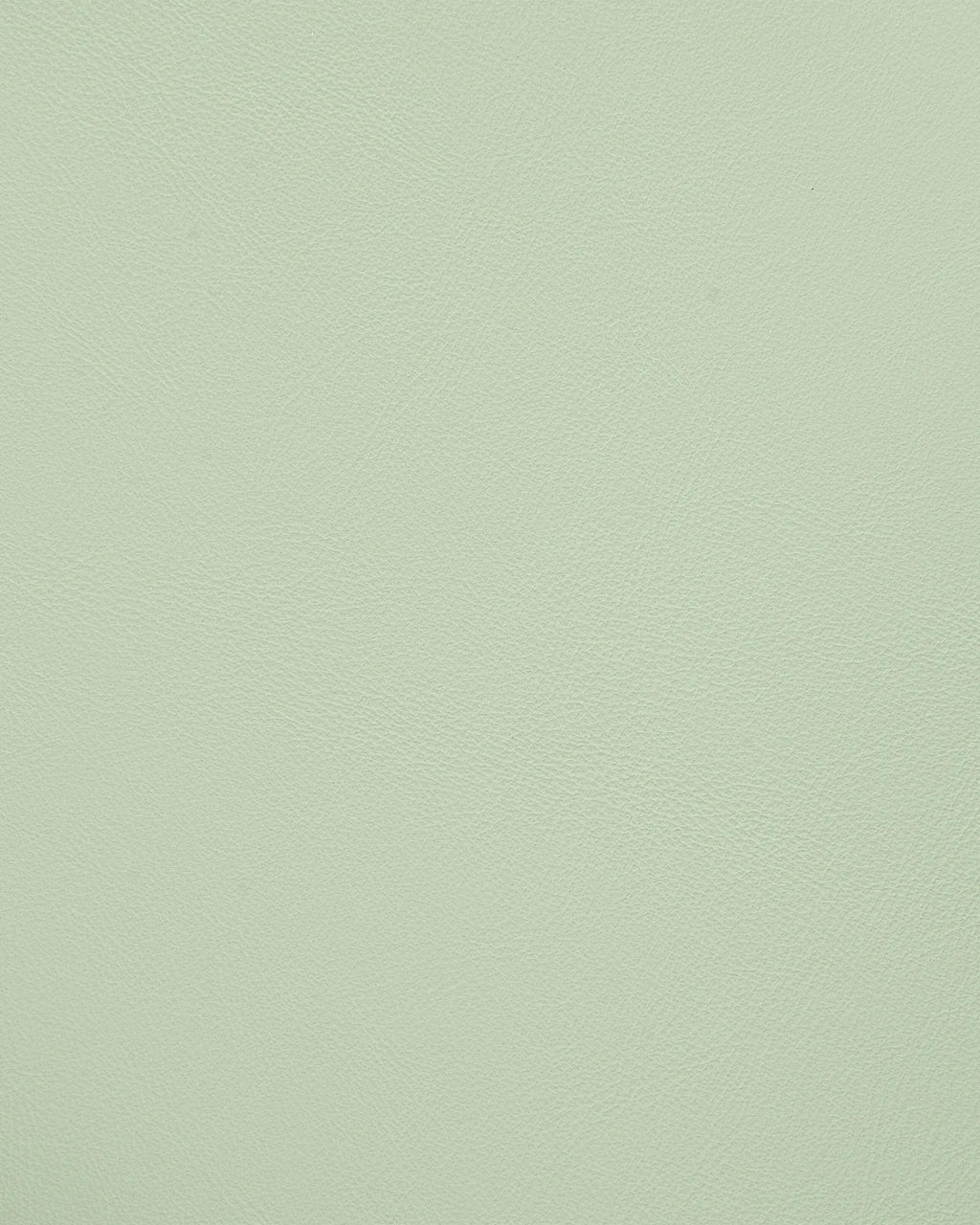 Set of 4 Dining Chairs MORILL Light Green