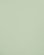 Set of 4 Dining Chairs MORILL Light Green