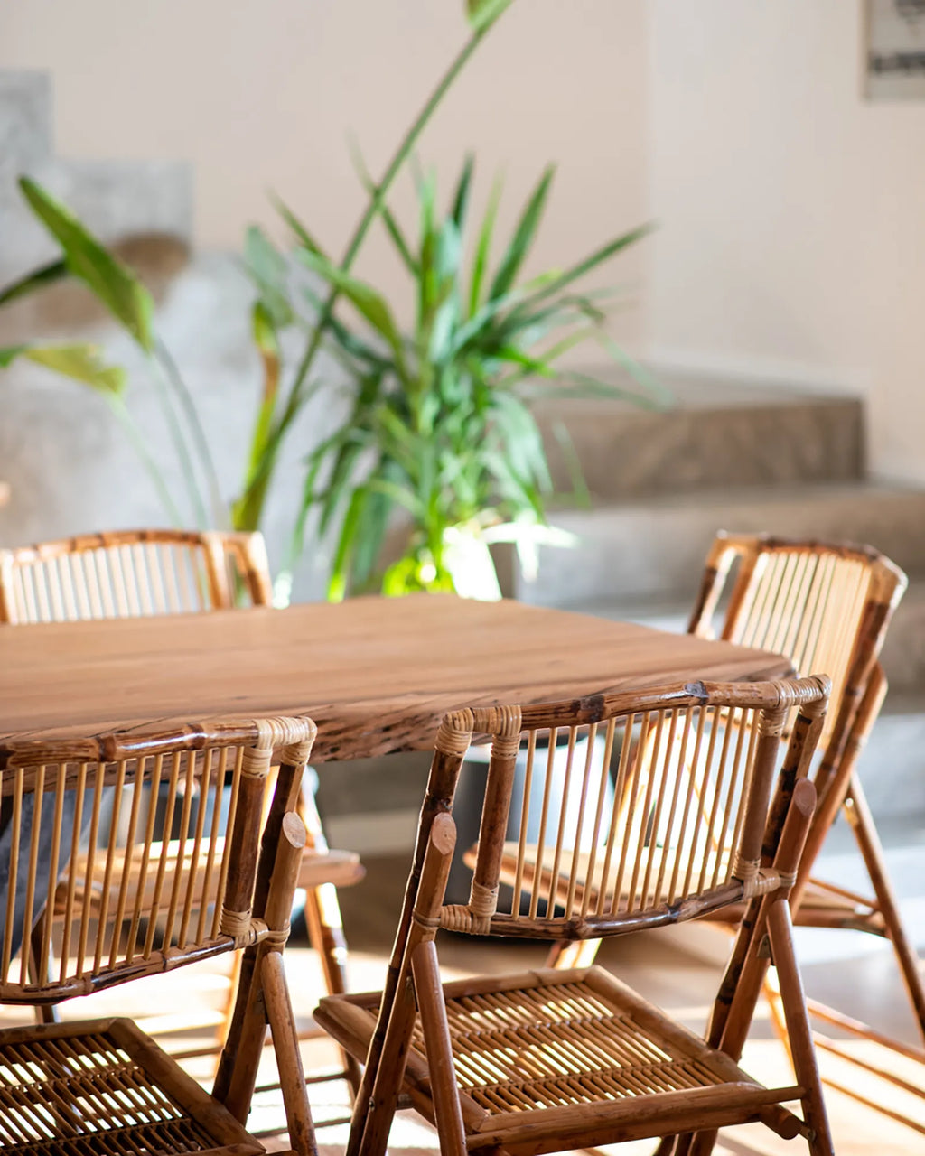 Set of 4 Dining Chairs Folding TRENTOR Bamboo Natural