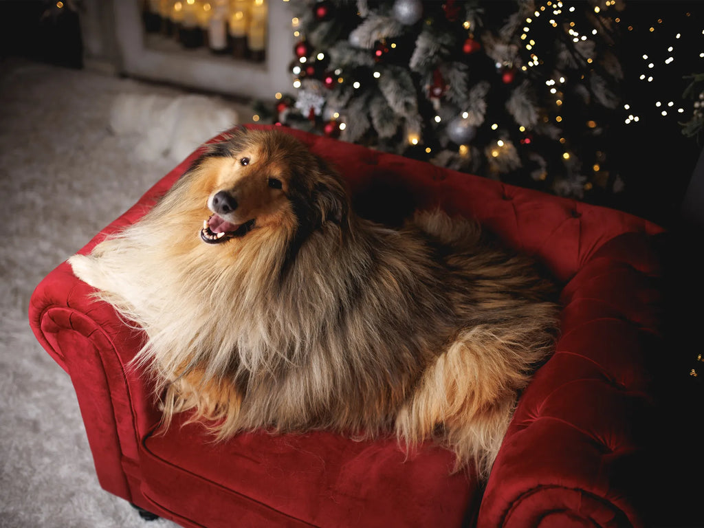 Armchair CHESTERFIELD Velvet Burgundy