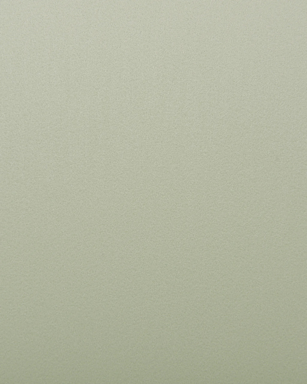 Set of 2 Dining Chairs FOMBY Light Green