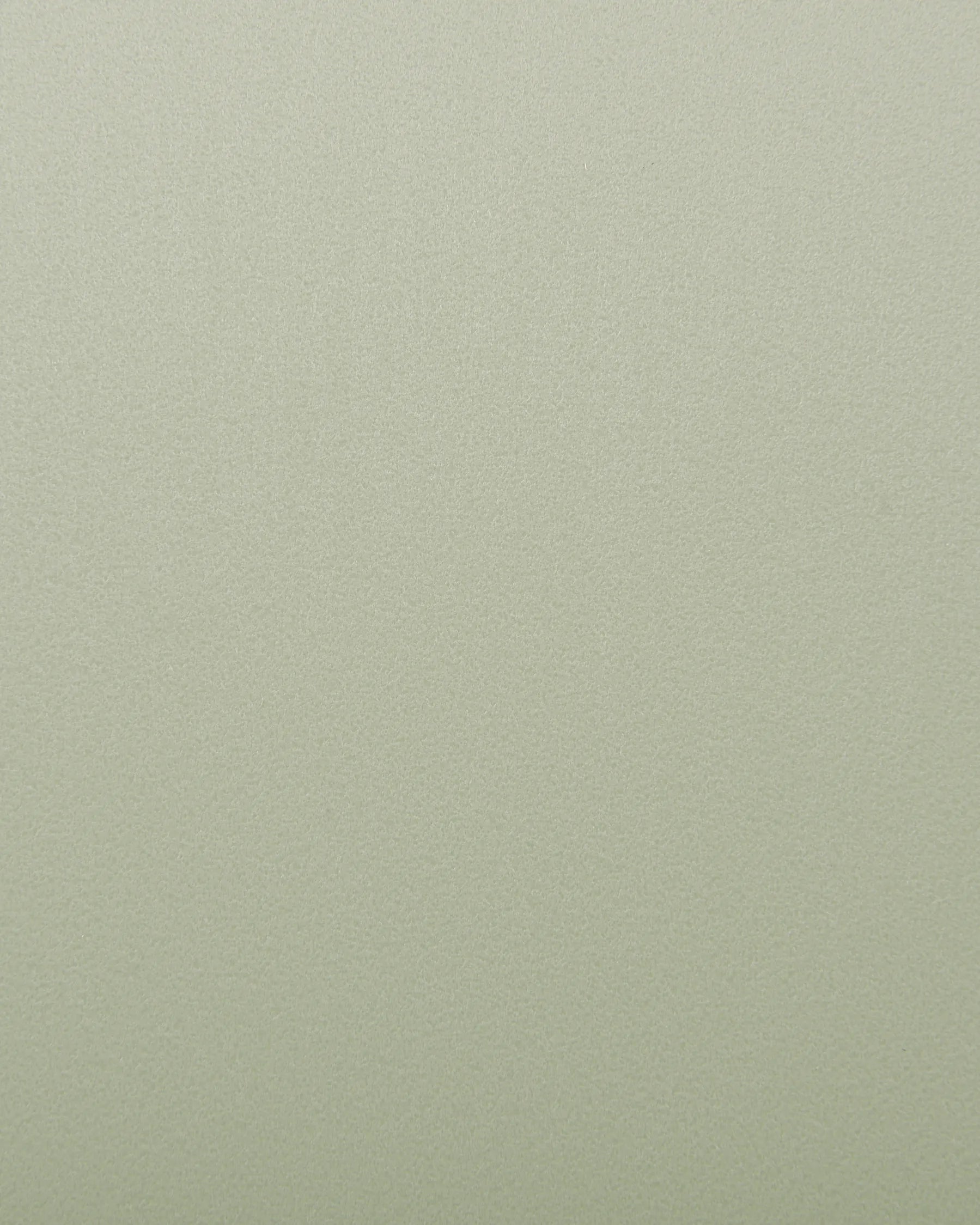 Set of 2 Dining Chairs FOMBY Light Green