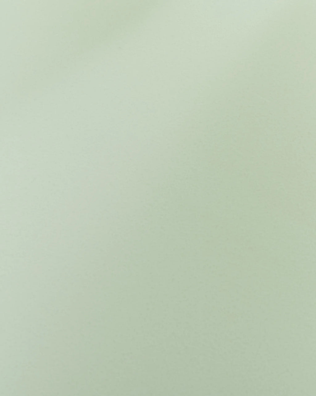 Set of 2 Dining Chairs TRACY Light Green
