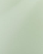 Set of 2 Dining Chairs TRACY Light Green