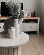 Coffee Table LEMONT Mango Wood Light Brown