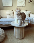 Coffee Table LEMONT Mango Wood Light Brown