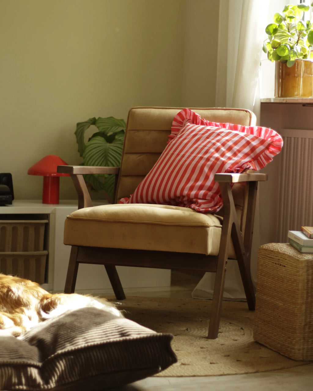 Armchair KISA Velvet Brown