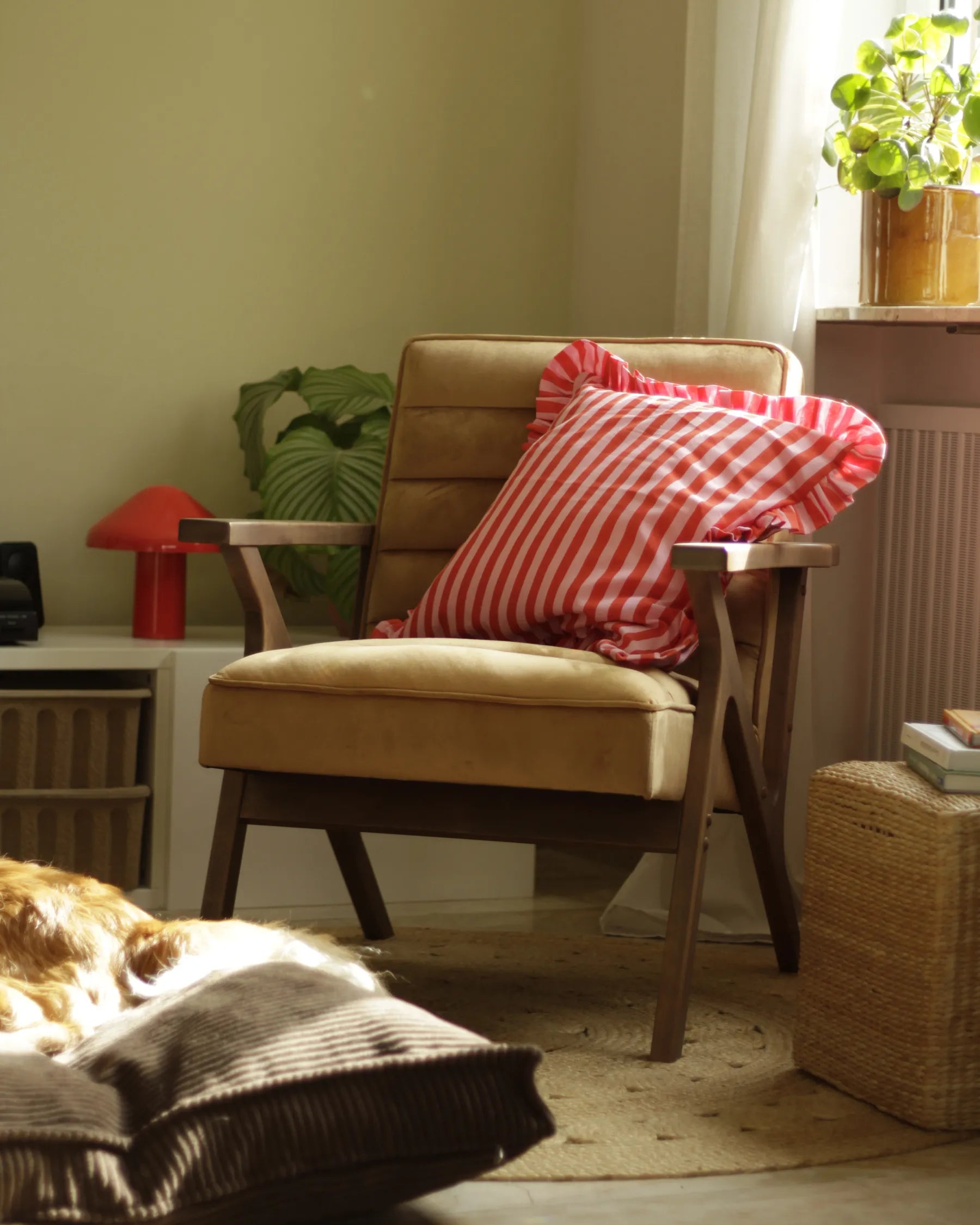 Armchair KISA Velvet Brown