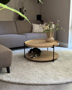 Coffee Table LANDER Light Brown