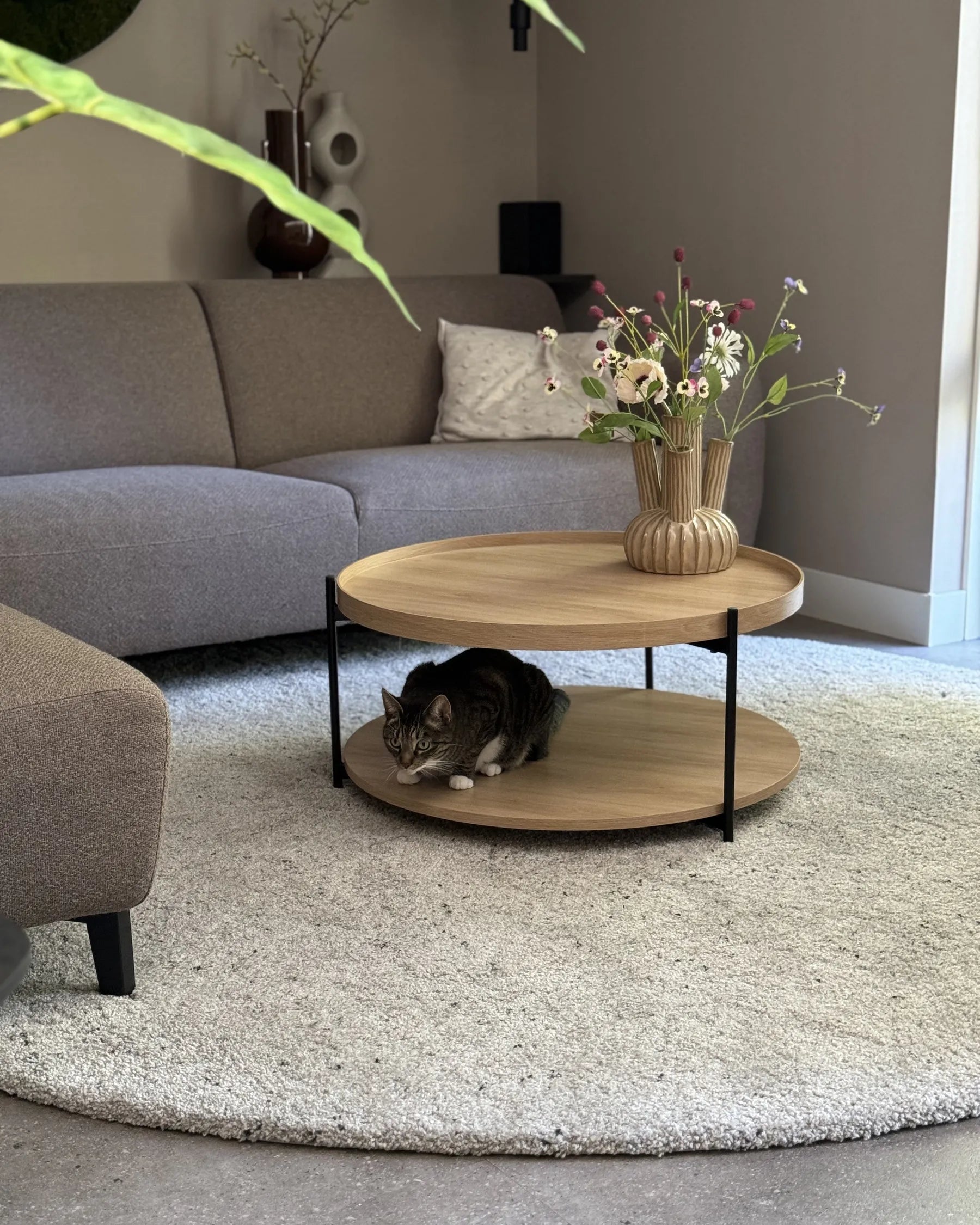 Coffee Table LANDER Light Brown