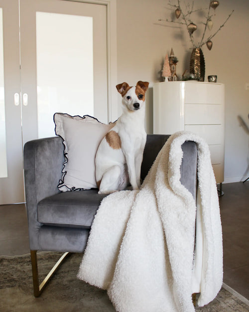 Armchair SIRKKA Velvet Grey