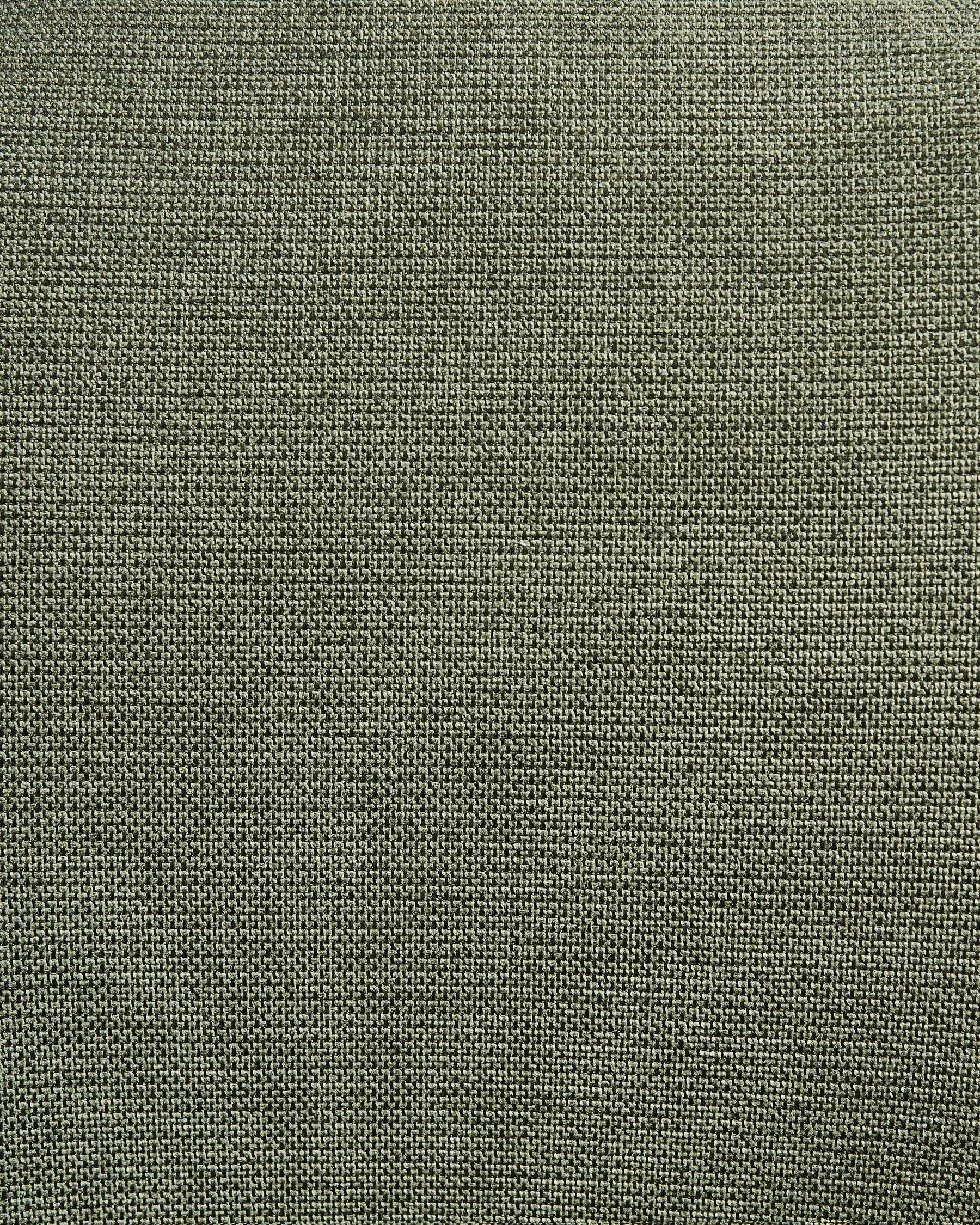 Set of 2 Dining Chairs AMITY Fabric Green