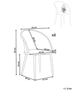 Set of 2 Dining Chairs CORNELL Metal Green